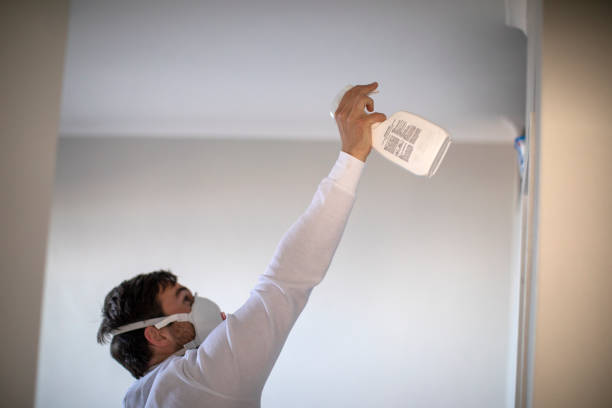 Best Professional Mold Removal  in Campbellsburg, KY