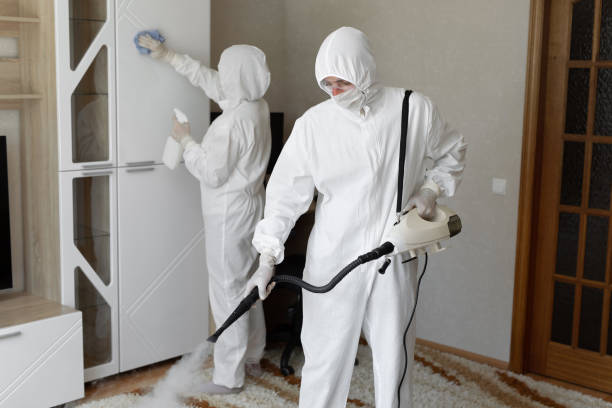 Best Mold Testing and Removal  in Campbellsburg, KY