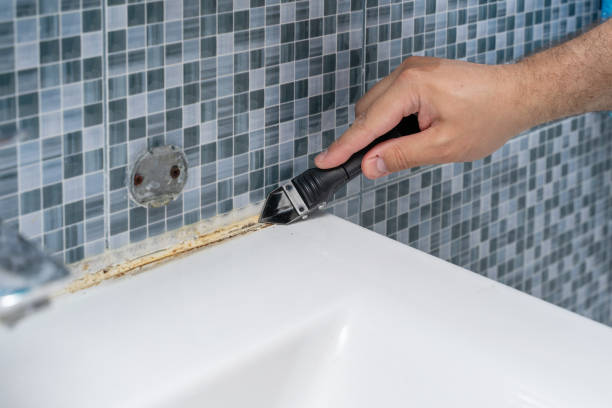 Best Water Damage Restoration  in Campbellsburg, KY
